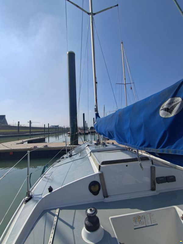 Westerly J24