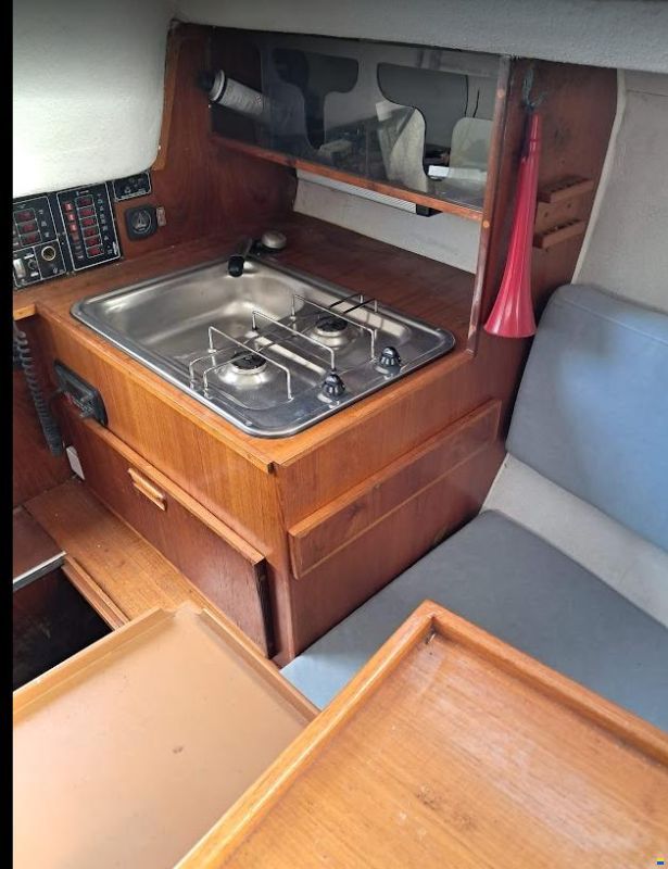 Draco Summerwind