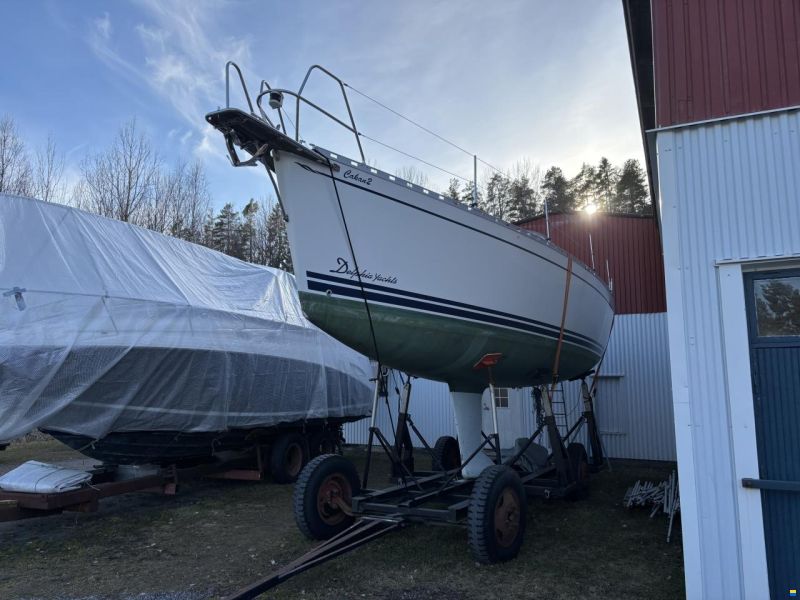 Delphia 33