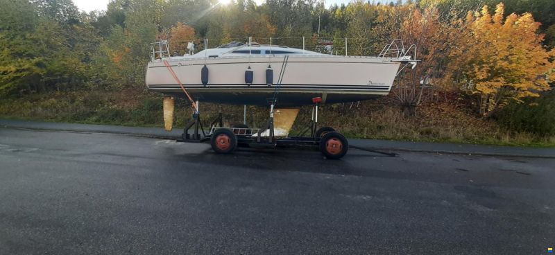 Delphia 33