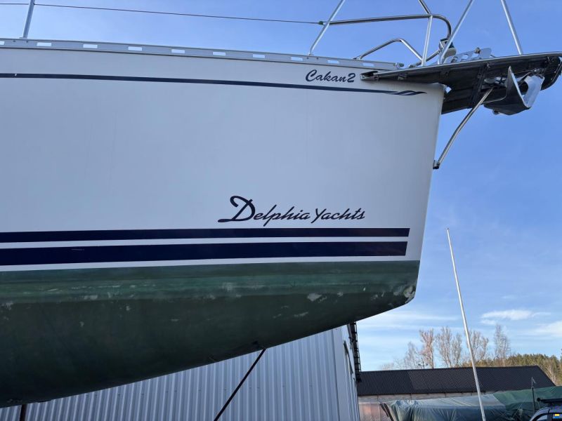 Delphia 33