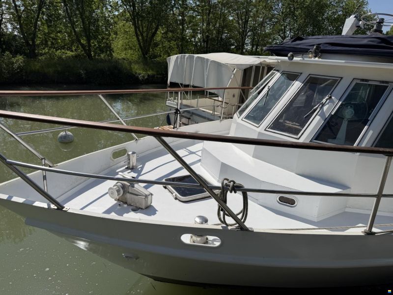 3B Craft Vedette Hollandaise