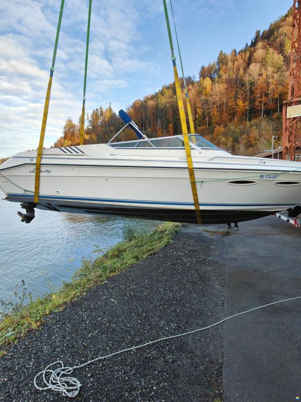 Sea Ray 260 OV