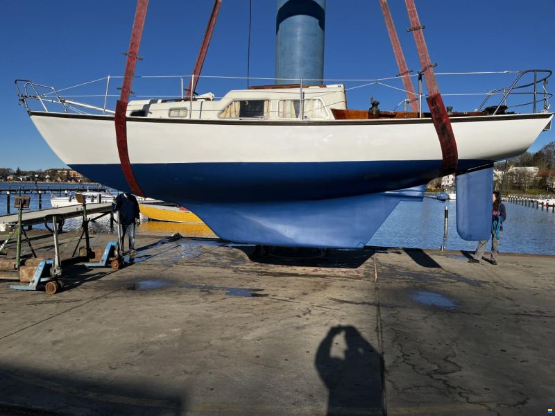 Ranger 29 (Rhodes)