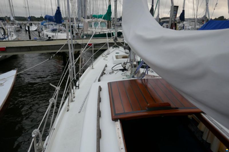 Ranger 29 (Rhodes)