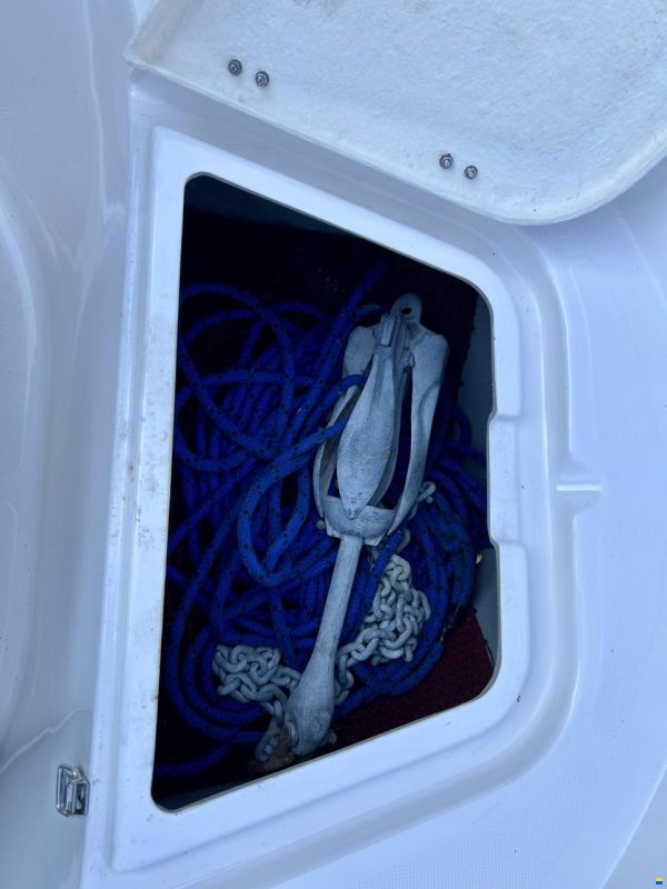 Quicksilver 550 Commander