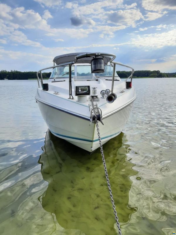 Stingray 719 ZPX