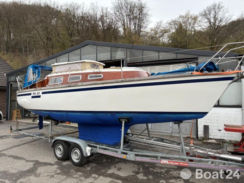Bicker Biga 262