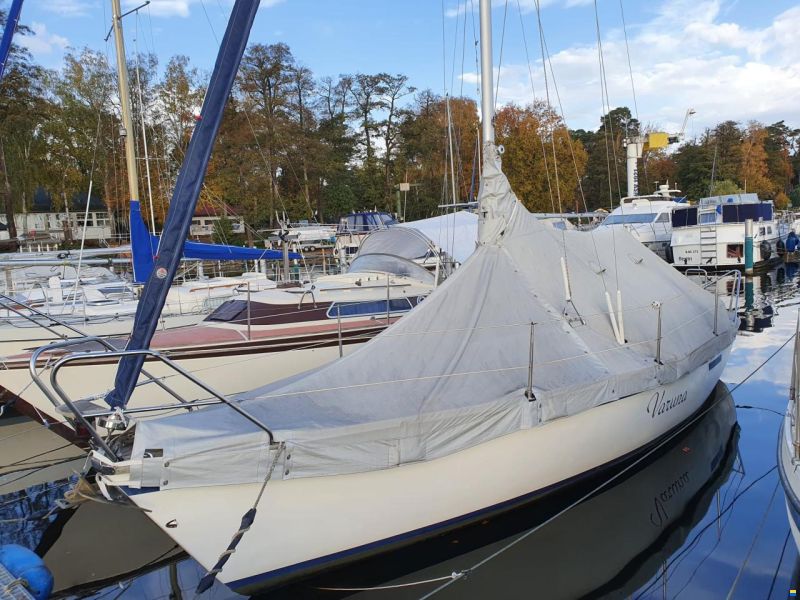Bicker Biga 262