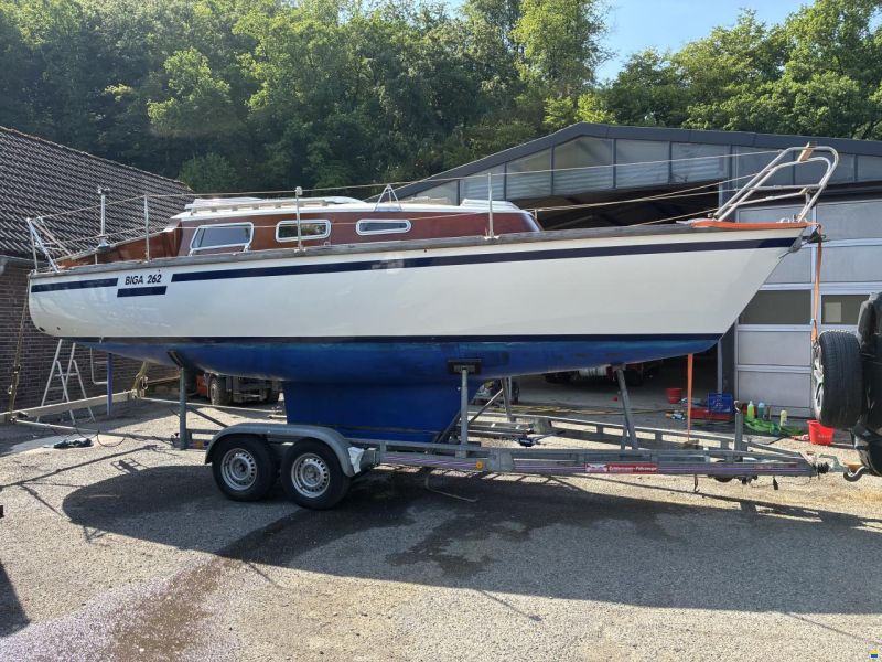 Bicker Biga 262