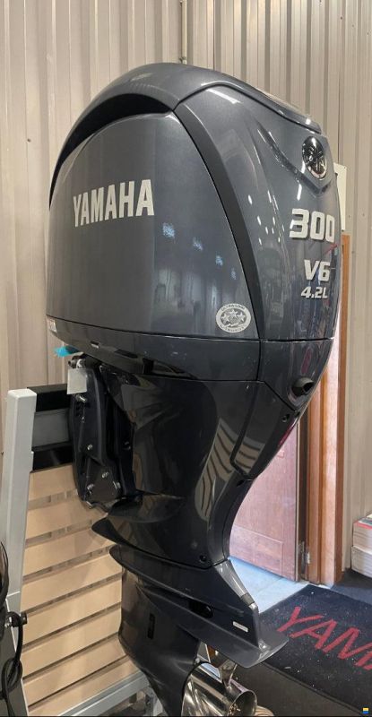 Yamaha F300NCB