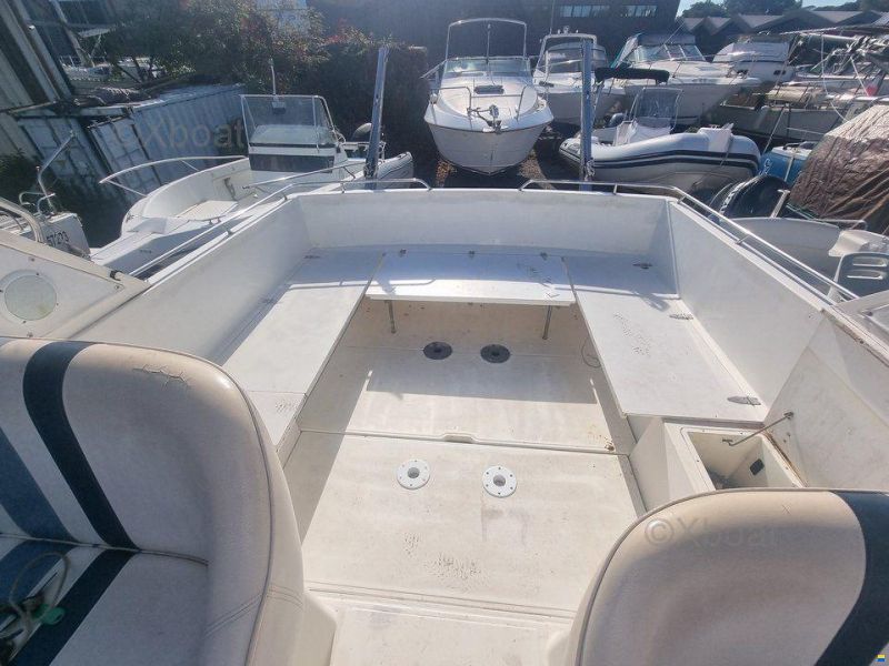 Fairline 33 TARGA