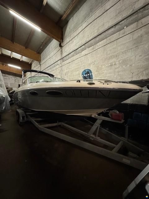 Sea Ray 240 SSE Limited Edition