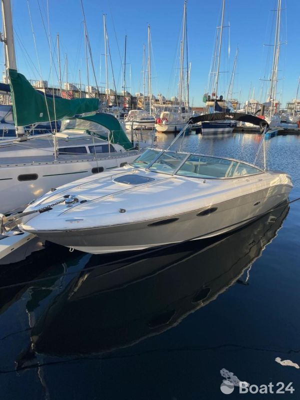 Sea Ray 240 SSE Limited Edition