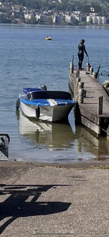 Schweizer Saphir II  1973