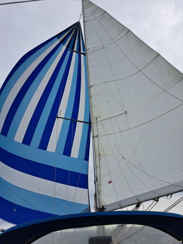Bavaria 34-2