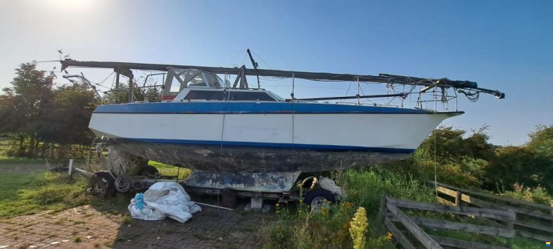 Reinke 10 M