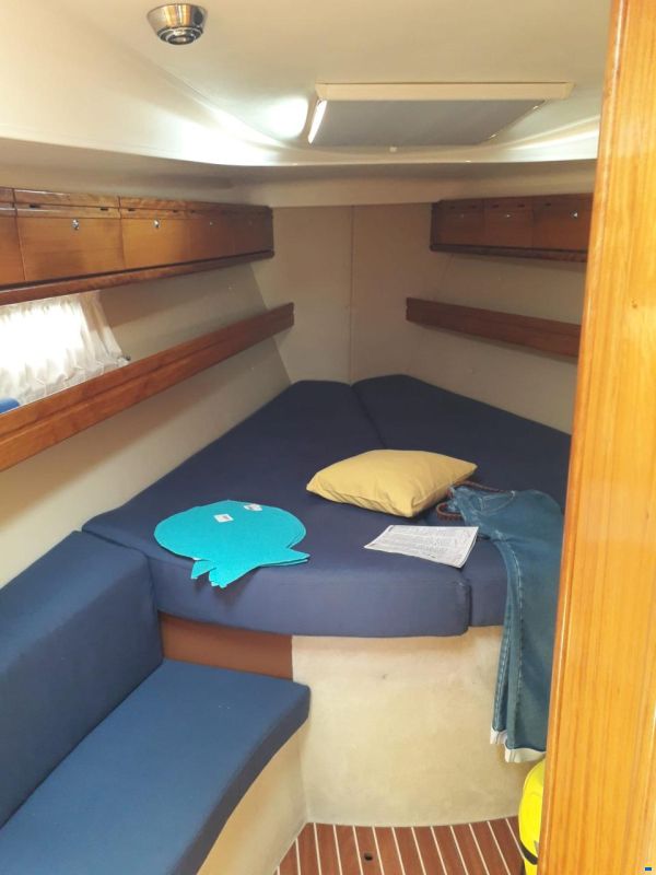 Bavaria 39 Cruiser