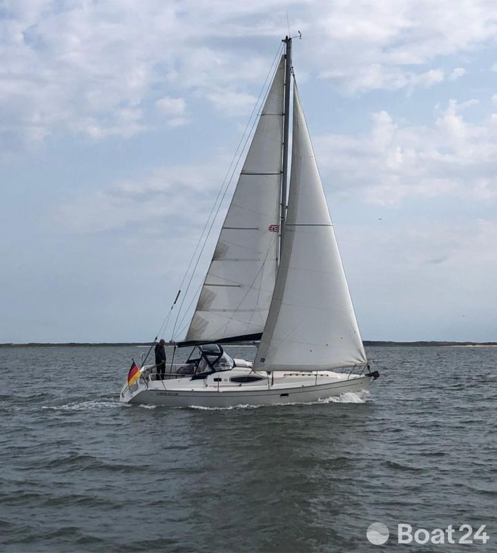 Alliaura Feeling 32 DI