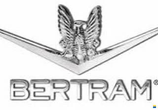 Bertram 28 Fly