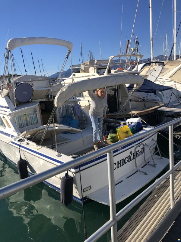 Bertram 28 Fly