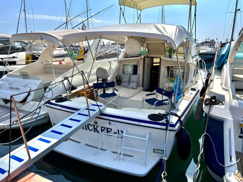 Bertram 28 Fly