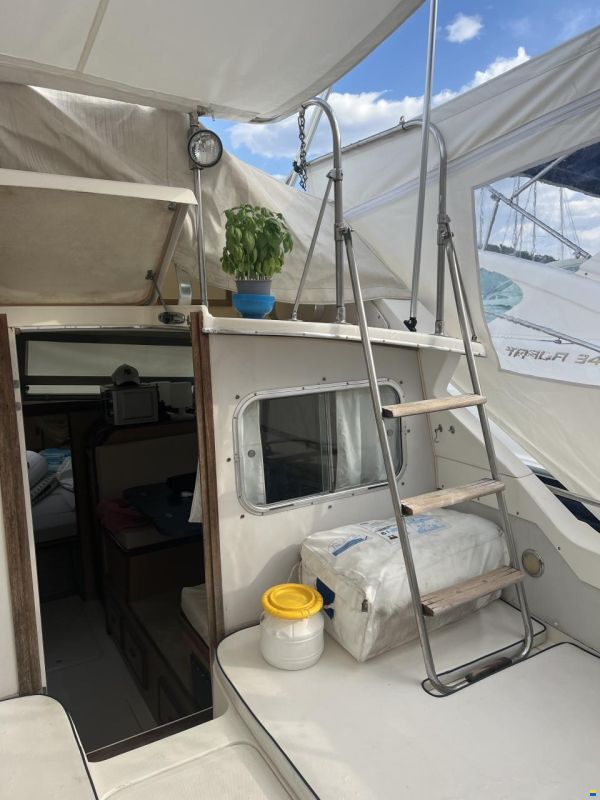 Bertram 28 Fly