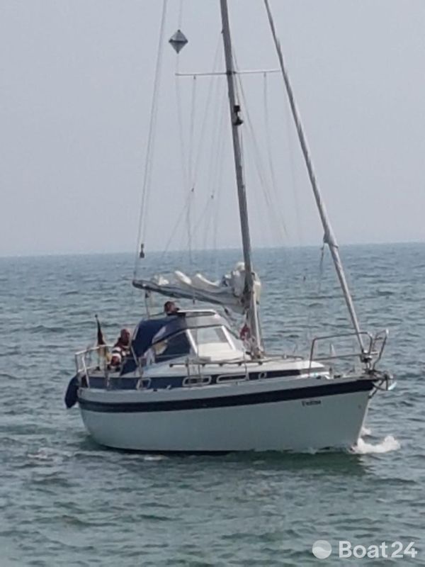 Zaadnoordijk Compromis 888