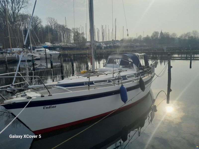 Zaadnoordijk Compromis 888