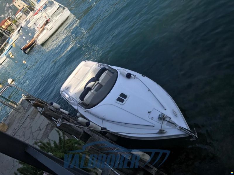 Tullio Abbate Sea Star Super