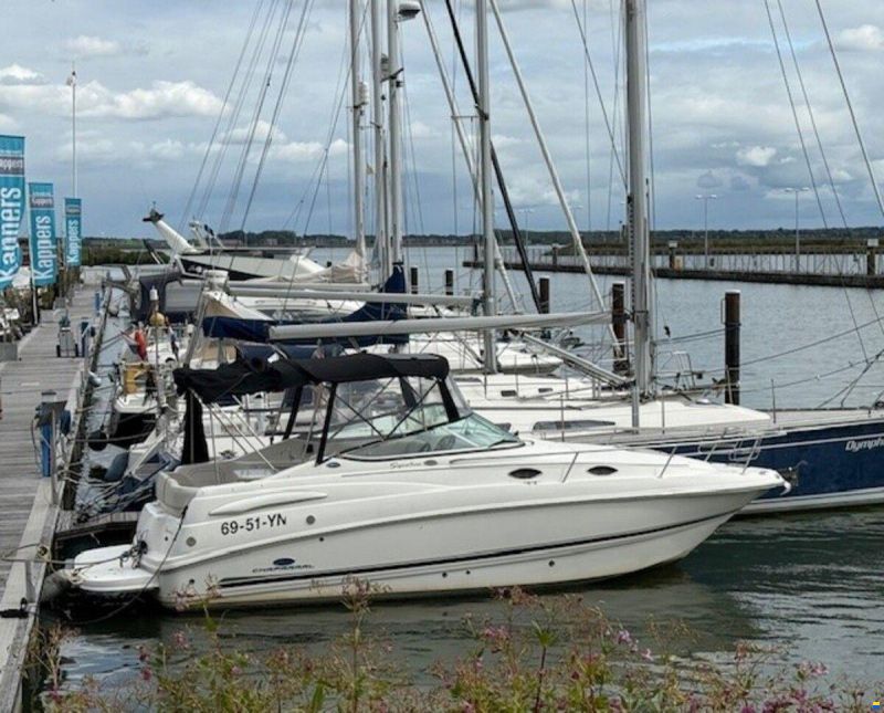 Chaparral 240 Signature