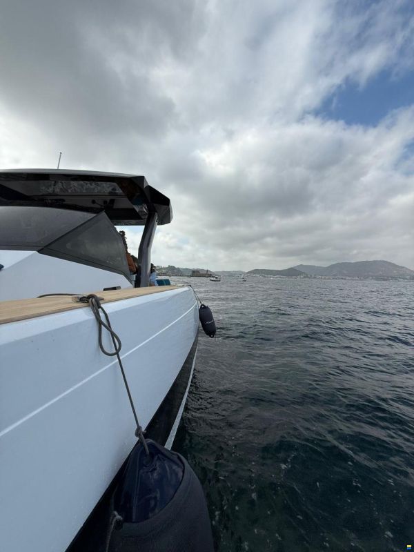 Fiart Seawalker 35 Walkaround