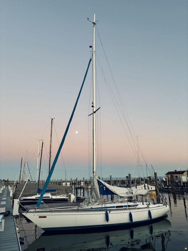 Avance Saisonvermietung 2026: Avance 36