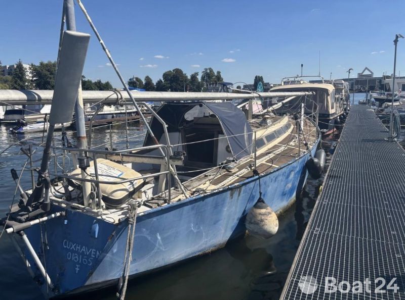 Reinke SY Taranga OBSTINATE