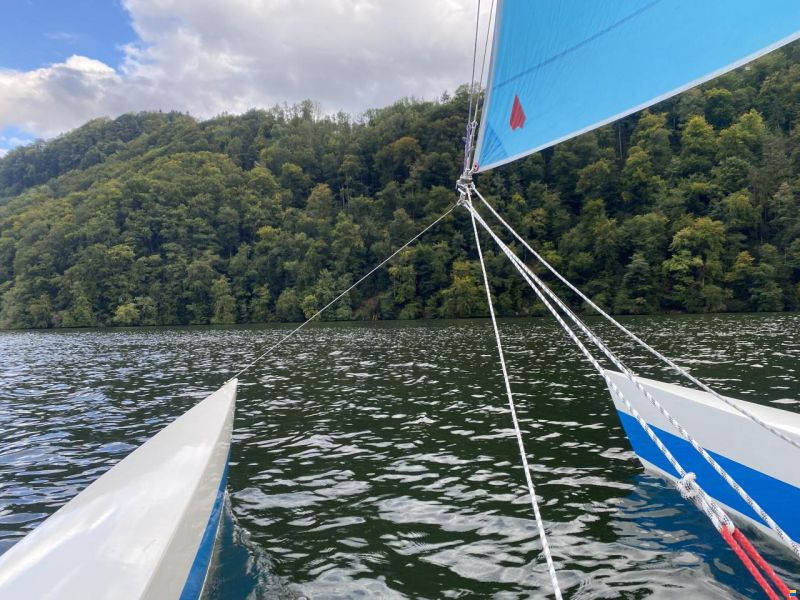 Panther Craft Dart 20