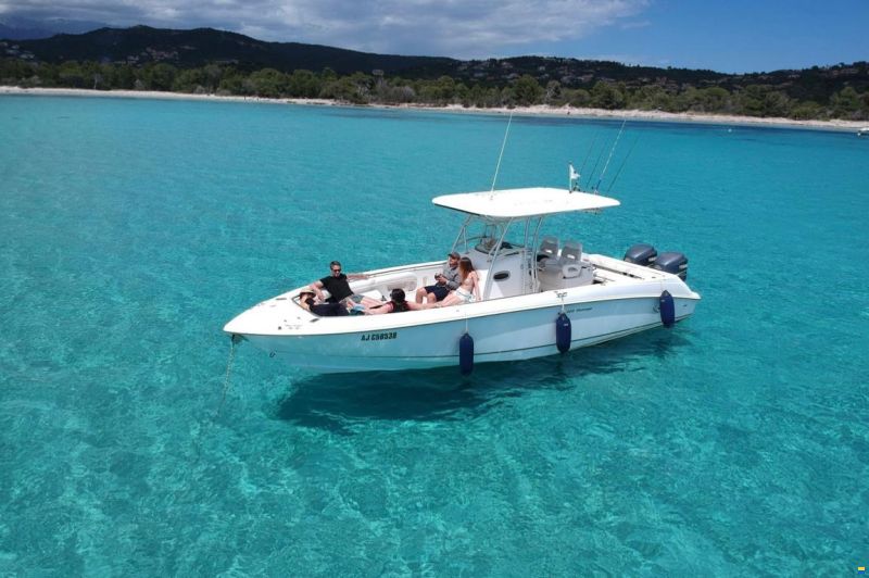 Boston Whaler 320 Outrage