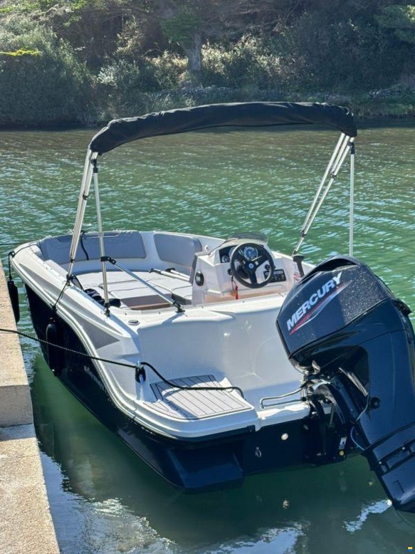 Bayliner M15 Element