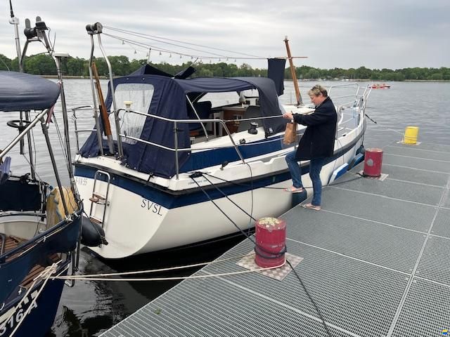 Zaadnoordijk Compromis 888