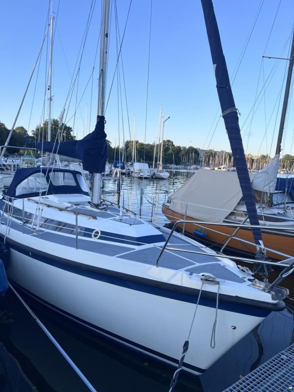 Zaadnoordijk Compromis 888