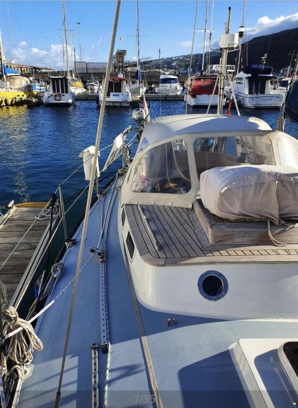 Koopmans 37