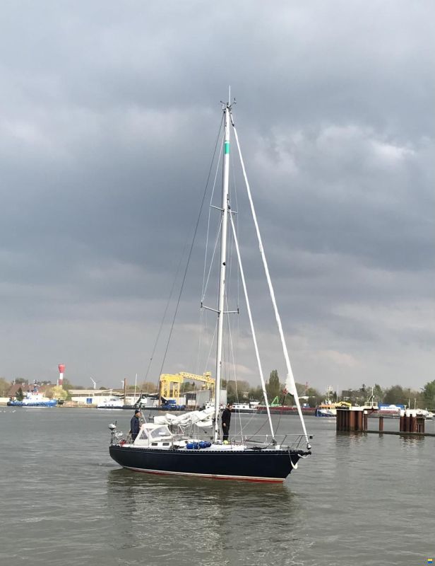 Koopmans 37