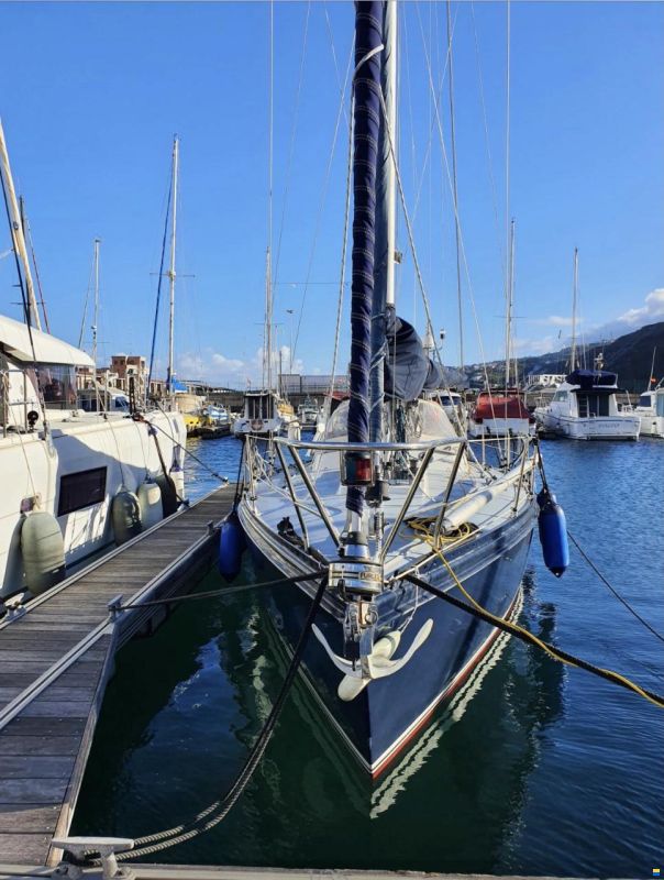 Koopmans 37