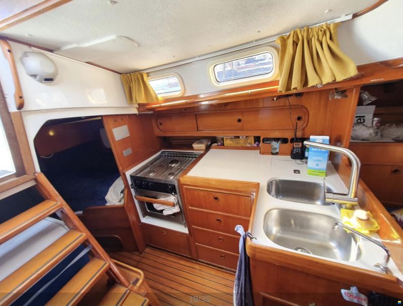 Koopmans 37