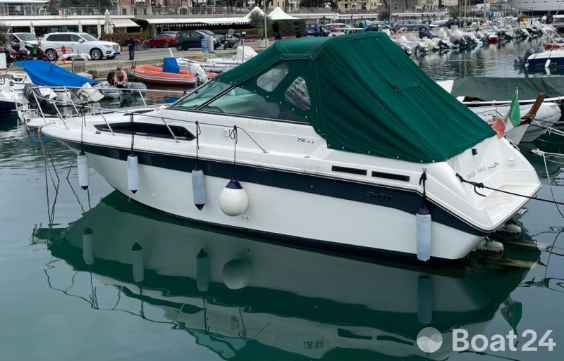 Sea Ray 250 Sundancer