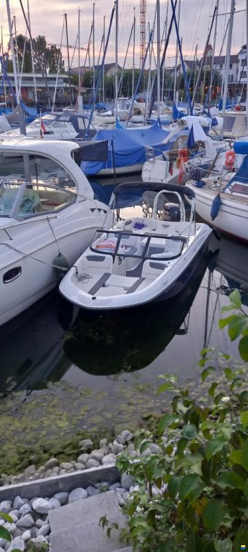 Bayliner Element E6