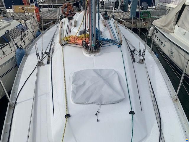 cantiere del pardo GS 34.1