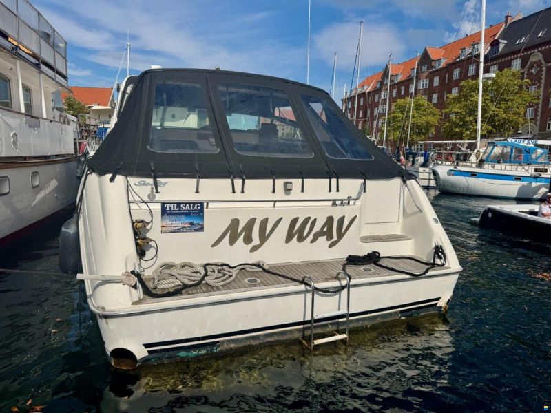 Sea Ray 480 Sundancer