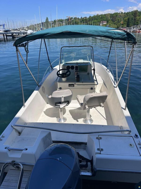 White Shark Kelt WhiteShark 175