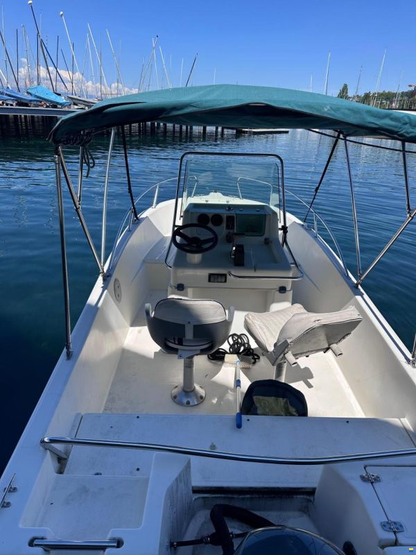 White Shark Kelt WhiteShark 175