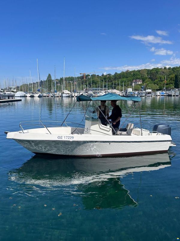 White Shark Kelt WhiteShark 175